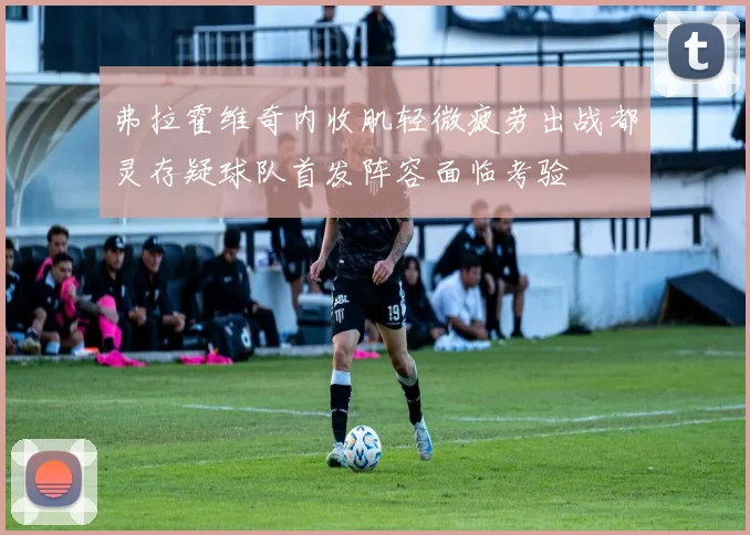 弗拉霍维奇内收肌轻微疲劳出战都灵存疑球队首发阵容面临考验